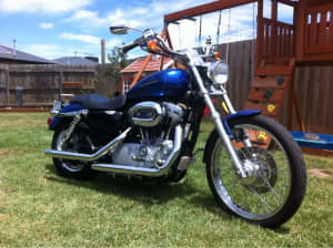 Harley Davidson 2010 883cc sportster custom