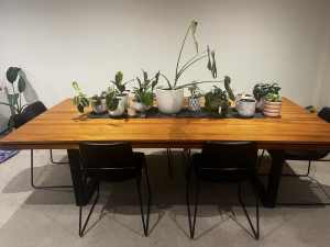Family Dining Table - Modern, Wooden & Beautiful