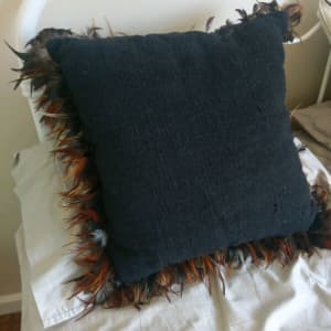 Designer cushions x 2