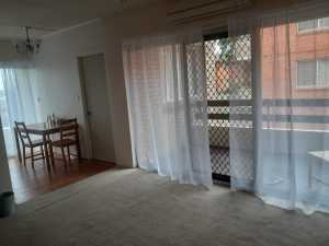 Large sunny room available for single person only 