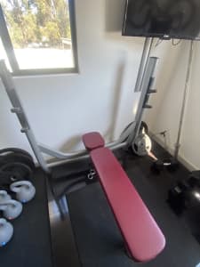 Olympic weight bench - with Olympic bar - no weights 