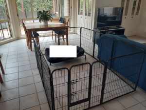 Strong Heavy Duty PlayPen Pet Puppy Dog Pen Enclosure Fence Cage Crate
