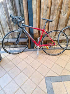 Sebon Calle 200 racing bike 