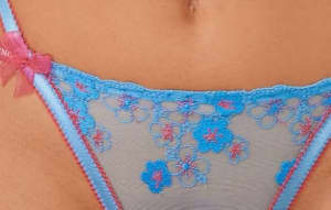 FLORAL EMBROIDERED BLUE Brief (LOUNGE) NEW
