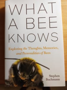 What a Bee Knows: Exploring the Thoughts, Memories, and Personalities 