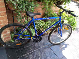 rand la cruiser bike