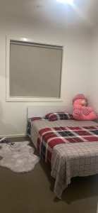 Room for rent for a girl in tarniet...600$ incl. bills