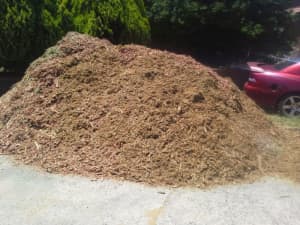 Woodchips Mulch $150 inc delivery 15m3 to 22m3