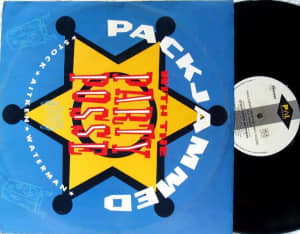 Synth Pop - STOCK AITKEN WATERMAN Packjammed With The Party Posse 12"