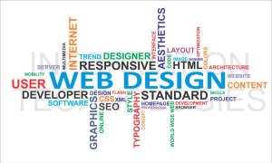 Professional Web Design Services at best price