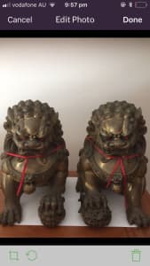 Brass Fu Dogs/Temple Lions