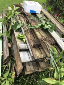 Free old fence paling for firewood