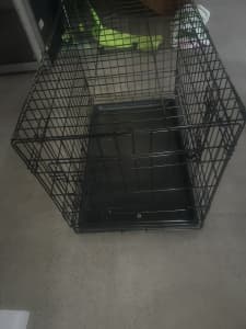 Dog animal metal cage