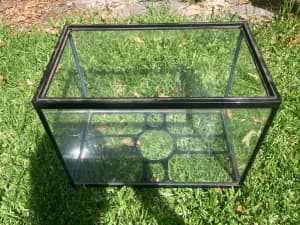 Glass Fishtank with New Glass Cleaner