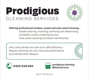 Prodigious Cleaning Services