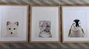3 framed animal prints