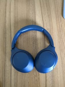 WH-BX900N Extra Bass Noise Cancelling Headphones 