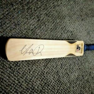 Matthew Wade Signed Cricket Bat Australia Signed Cricket Bat Ashes