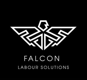Falcon Labour Solutions