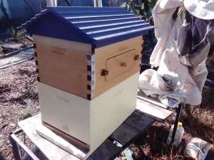 Flo Bee Hive For Sale.