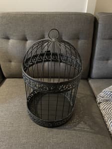 Decorative bird cage black with opening top