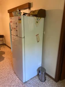 Fridge, white and in excellent condition - Fischer Paykel
