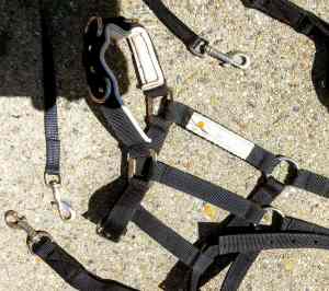 Horse head collar available with extra clips and leads
