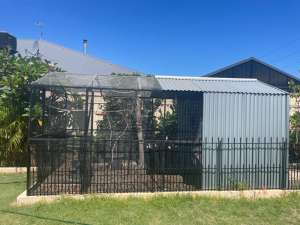 Large Bird Aviary For Sale
