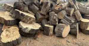1m3 Party Mix FIREWOOD Clean Dry
