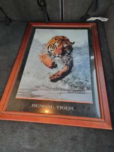 2x tiger frames