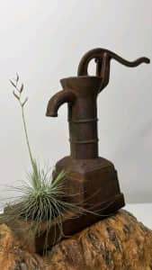 Antique hand pump with healthy airplant for sale