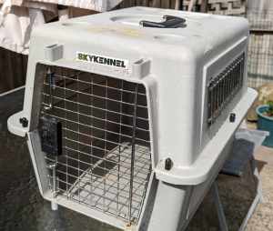 Dog crates for sale 