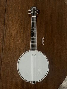 4 String Banjo