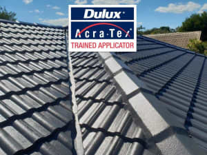 Roof Pressure Washing and Painting: Dulux-Trained Operator