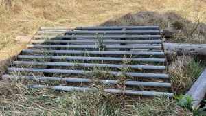 Cattle grid