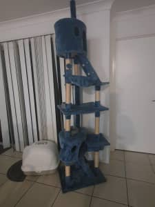 Cat tower with free cat