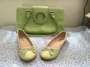 Ladies Hand Bag and Shoes
