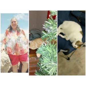 LADY &2 CATS NEED FURNISHED HOME. (NO SCAMMERS)