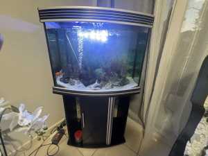 Aquarium tank with accessories