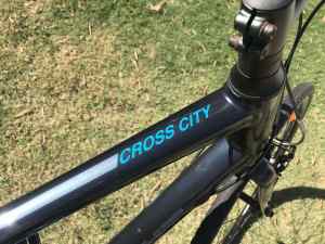 Giant Cross City Bike