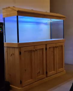 Negotiable = 5 ft Aquarium with RGB lights, hood and stand
