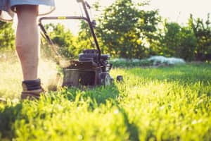 LAWN MOWING SERVICES - WERRIBEE 