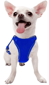 Brand New, Secure Mesh Harness for Puppy or Small Dog