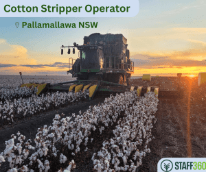 Cotton Stripper Operator
