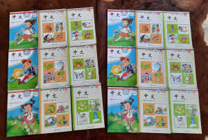 Mandarin Language Books for Early Primary Schoolers