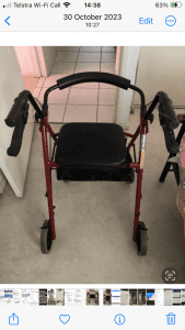 Disability walker