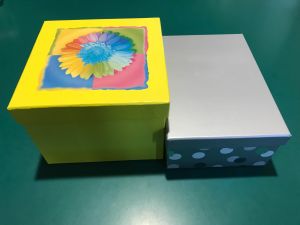 TWO GIFT OR STORAGE BOXES