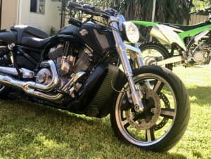 Harley Davidson Vrod Muscle