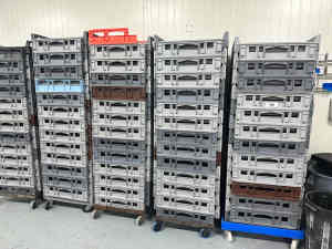 120 Plastic Bakery Storage/Transport Trays