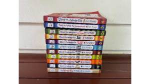 Diary of a Wimpy Kid books by Jeff Kinney: REDUCED!!!